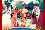 豫东罗成算卦