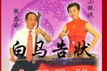白马告状 周银侠 张志云
