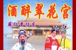 薛家将系列 三救薛仁贵下载