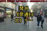 罗通扫北 十一下载