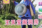 王天宝下苏州 共三部19集 惠忠刚 王媚