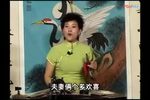 传统白海棠割肝孝母下载