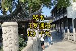 罗通扫北 十九下载