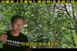 长安城打擂 八
