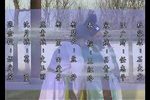 大八美 1移美珠巧换八美女8下载