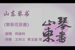 山东南路樊梨花投唐
