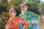 徐州杨八姐游春 演唱 崔金兰 选段下载