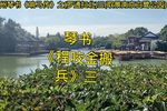 罗通扫北 三