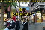 柳涛征西 二下载