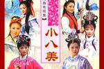 琴书连续剧小八美 共4部30集下载