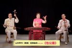 山东琴书南路经典曲目包公九头案下载