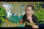 柳涛當宝 四
