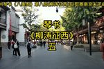 柳涛征西 五