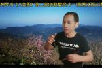 珠联璧合 十一