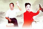 苏北乾隆私访归德府下载