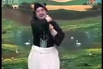 九姐大出嫁 10集 孙秀英下载