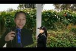 杨秀英思夫  选段