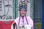 化妆坠子白玉楼讨饭 梳妆一折 何文玲 何淑霞 演唱 选段下载