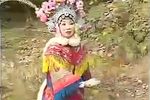 三请樊梨花 第八集