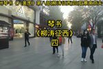 柳涛征西 四