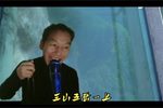 小寡妇思春  选段