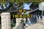 柳涛征西 六