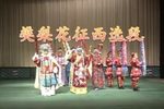 樊梨花征西鼓打五更天鸡叫明 选段