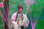 元宵迷 小小书房惹人恋 选段