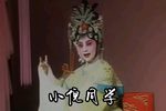 贺后骂殿 选段