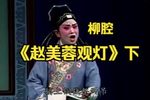 赵美蓉观灯 下集