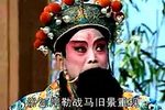 王三姐挖菜/武家坡/薛平贵回寒窑下载