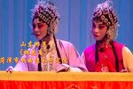 桃花庵 全集
