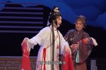 泪洒相思地下载