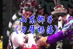 刀劈杨藩 全集