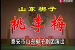 桃李梅 全集下载