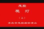 山东青岛赵美蓉观灯 上