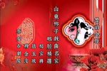 杨家将篡玉状 选段