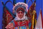 刀劈杨凡 选段