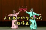 拾棉花