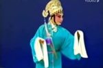 宿派赵美蓉观灯