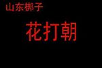 花打朝