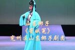 窦娥冤 全集