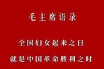 江姐 绣红旗下载