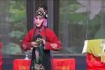 借年 爱姐唱段 面对银灯泪悲啼 选段