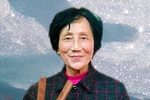 老虎学艺 选段