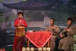 夜宿花亭 3赵凤兰 选段下载