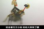 瓦岗寨 10