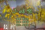 小姑狠 6贾幼然 选段