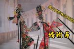 请驸马 选段