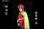 寇秀英挂帅下载